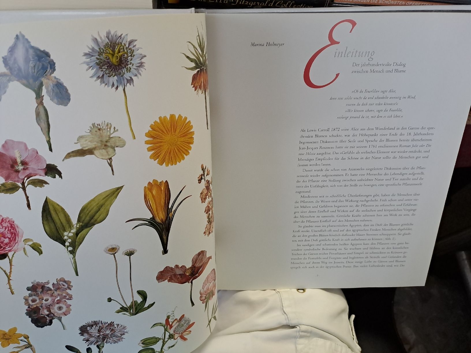 Libri: Die Sprache der Blumen - A-Z – Usato da Zürich venduto da Schoebi19 3