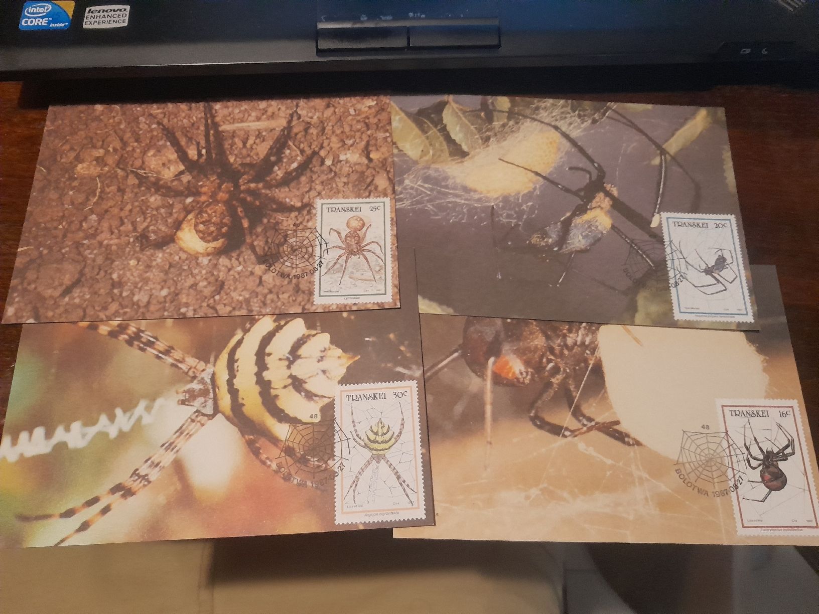 Tutti i francobolli: Cartes postales araignées rares et timbres de collection! – Usato da Marly venduto da globetrotter1723