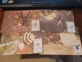 Cartes postales araignées rares et timbres de collection!