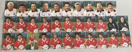 1994 Fussball Schweiz Sammelkarten, seltene Edition