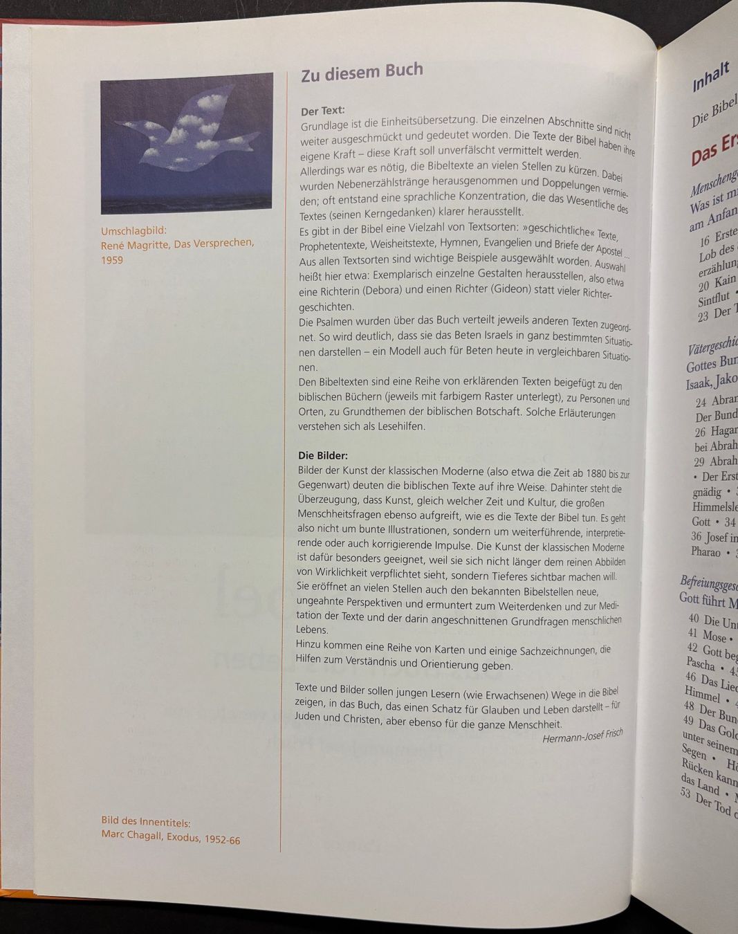 Libri: Die Bibel - Das Buch fürs Leben – Nuovo (secondo la descrizione) da Sarnen venduto da Livres 2
