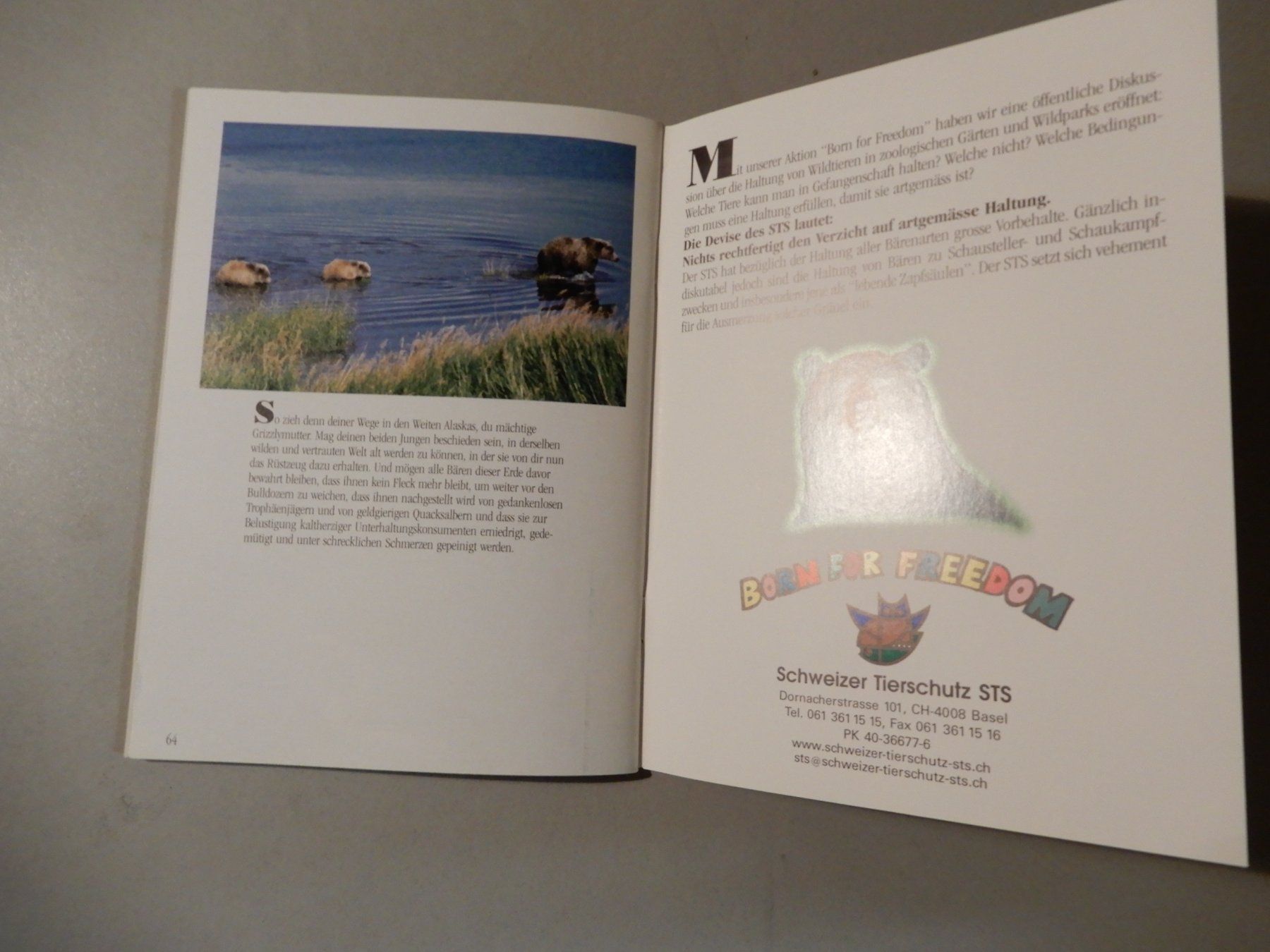 Libri: Bärenschicksal - Schweizer Tierschutz STS – Usato da Erstfeld venduto da Mario_boe0 8