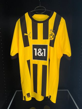 Borussia Dortmund Trikot / Giovanni Reyna