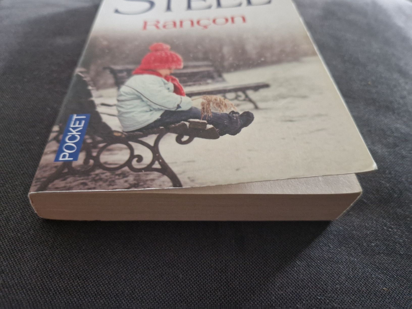 Libri: Rançon - Danielle Steel   (5) – Nuovo (secondo la descrizione) da Villars-sur-Glâne venduto da Agnie80 3