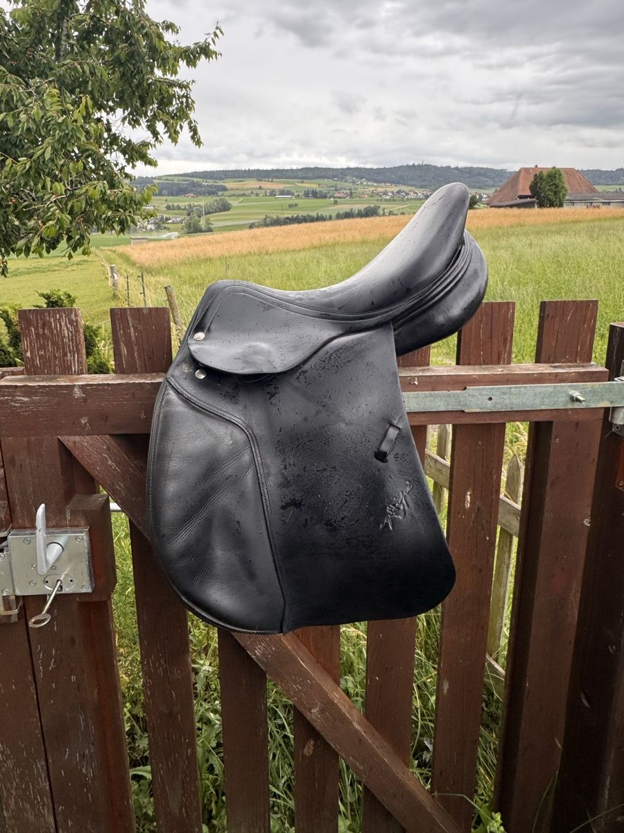Selle & Accessori: Equipe  Sattel – Usato da Wiler b. Seedorf venduto da luz_xvk8 2