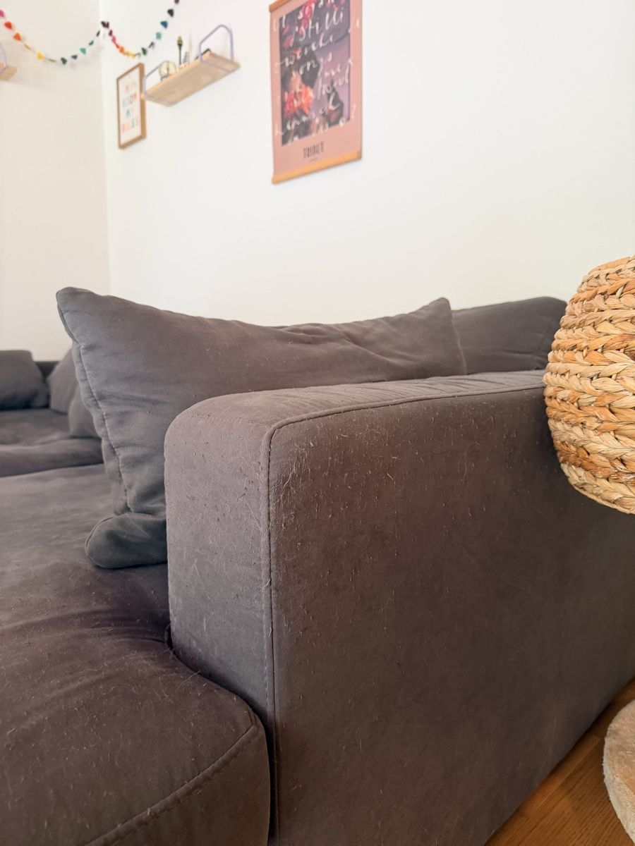 Sofas: Sofa Darwin Micasa – D'occasion à Luzern par LauraLynnMeier 3