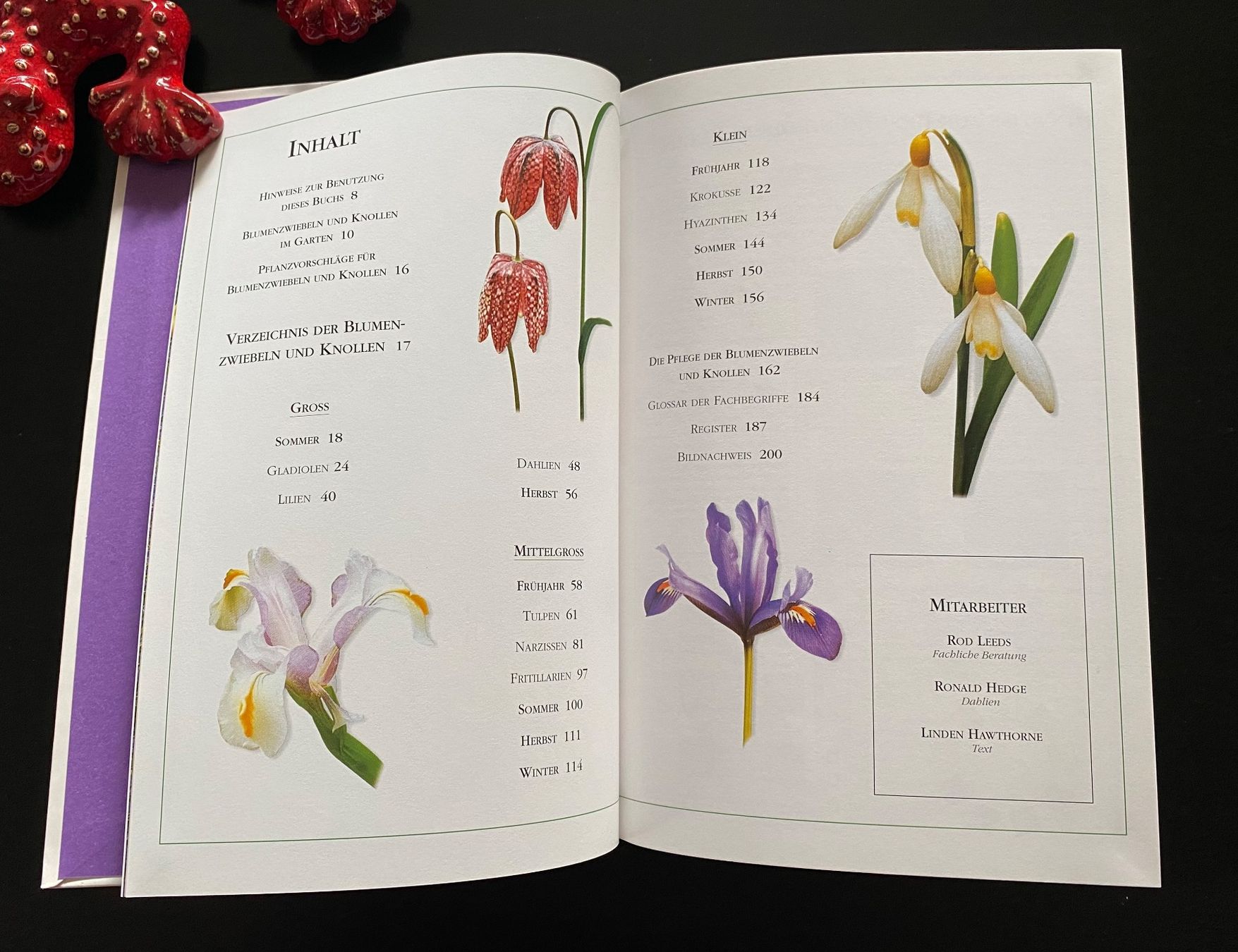 Libri: BLUMENZWIEBELN UND KNOLLEN – Usato da Nussbaumen AG venduto da schuba2000 3