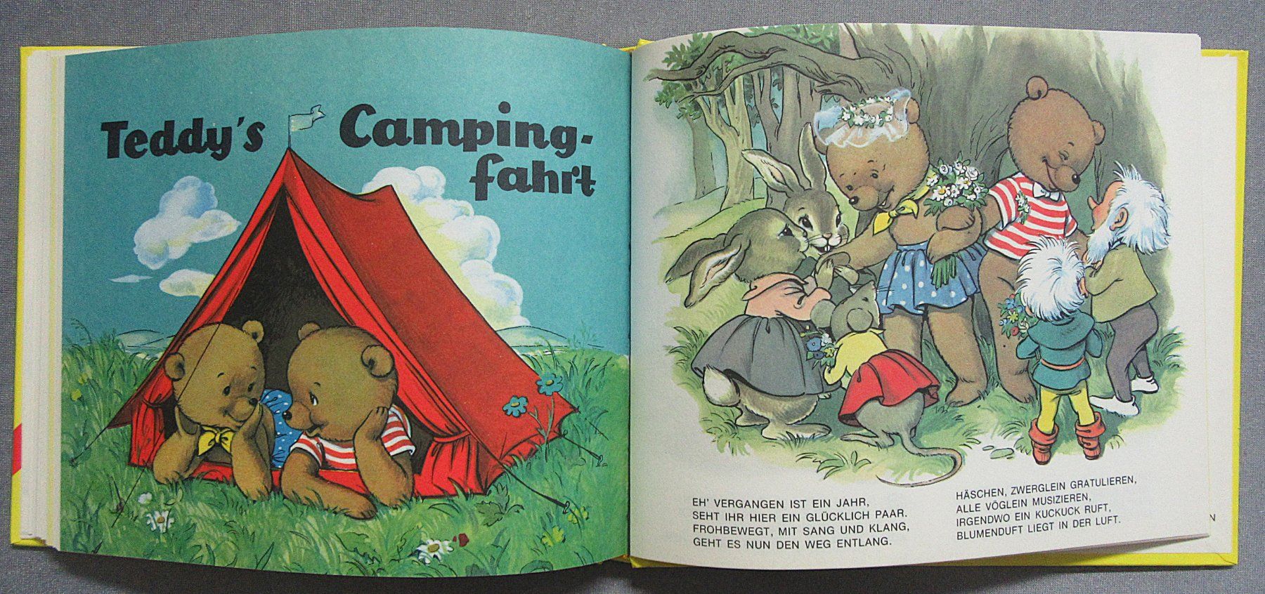 Libri: Teddys Abenteuer - wunderschön illustriert von Anny Hoffmann – Usato da Auenstein venduto da Padabimbim 8