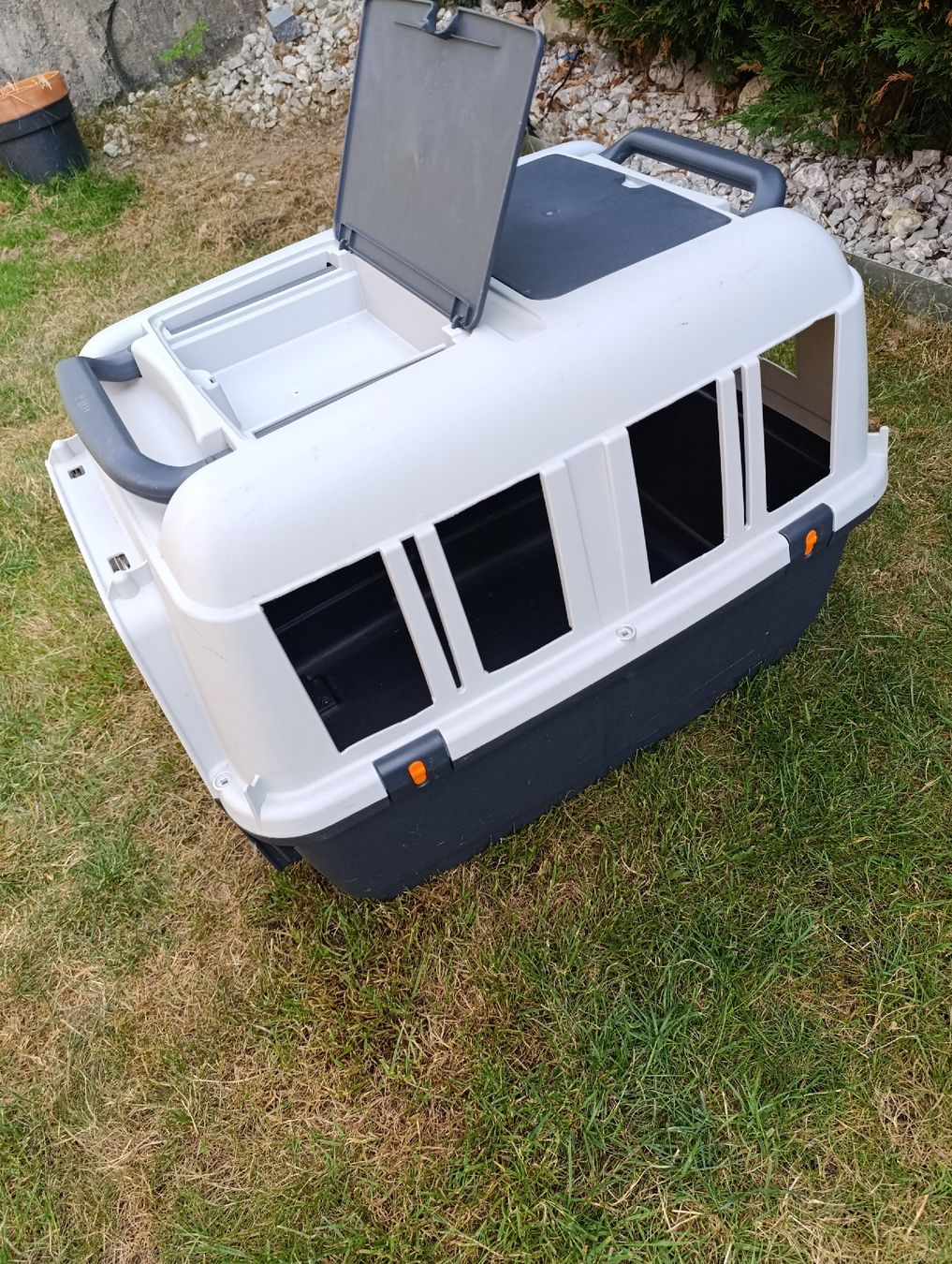 Gabbie, trasporto & Sicurezza: Caisse de transport pour chien – Usato da Avry-sur-Matran venduto da dav_nm5p 9