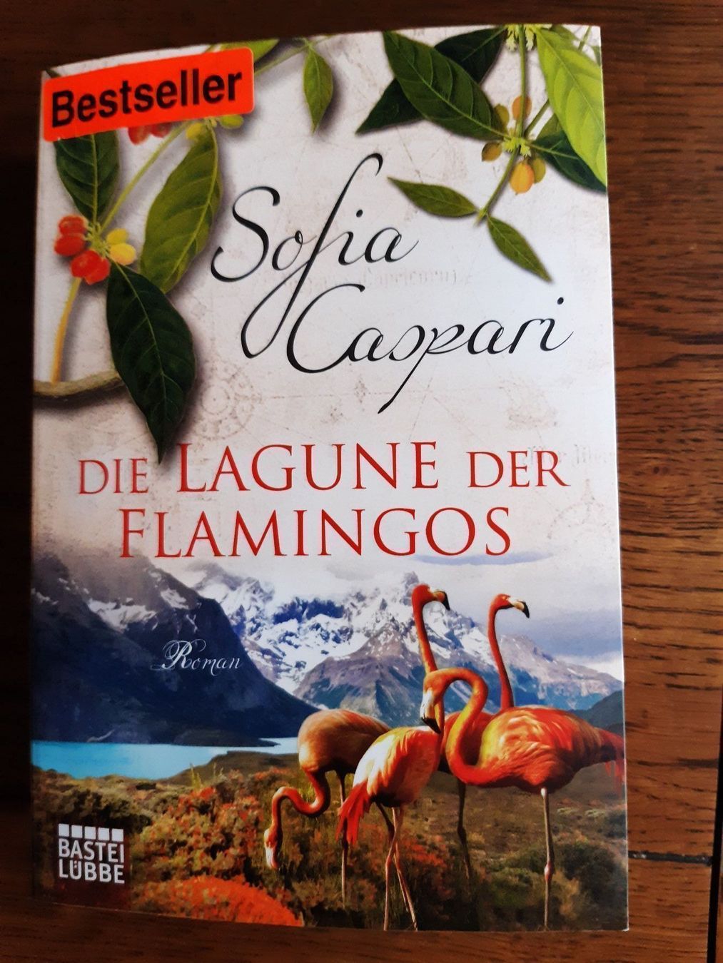 Bücher: Div. Taschenbücher Bestseller – Gebraucht aus Pieterlen von Dyui 2
