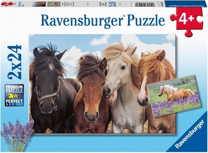 Ravensburger Puzzle: Puzzle 2x24 Teile – Nuovo e nell'imballaggio originale da Waldstatt venduto da wundertuete1