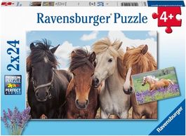 Puzzle 2x24 Teile