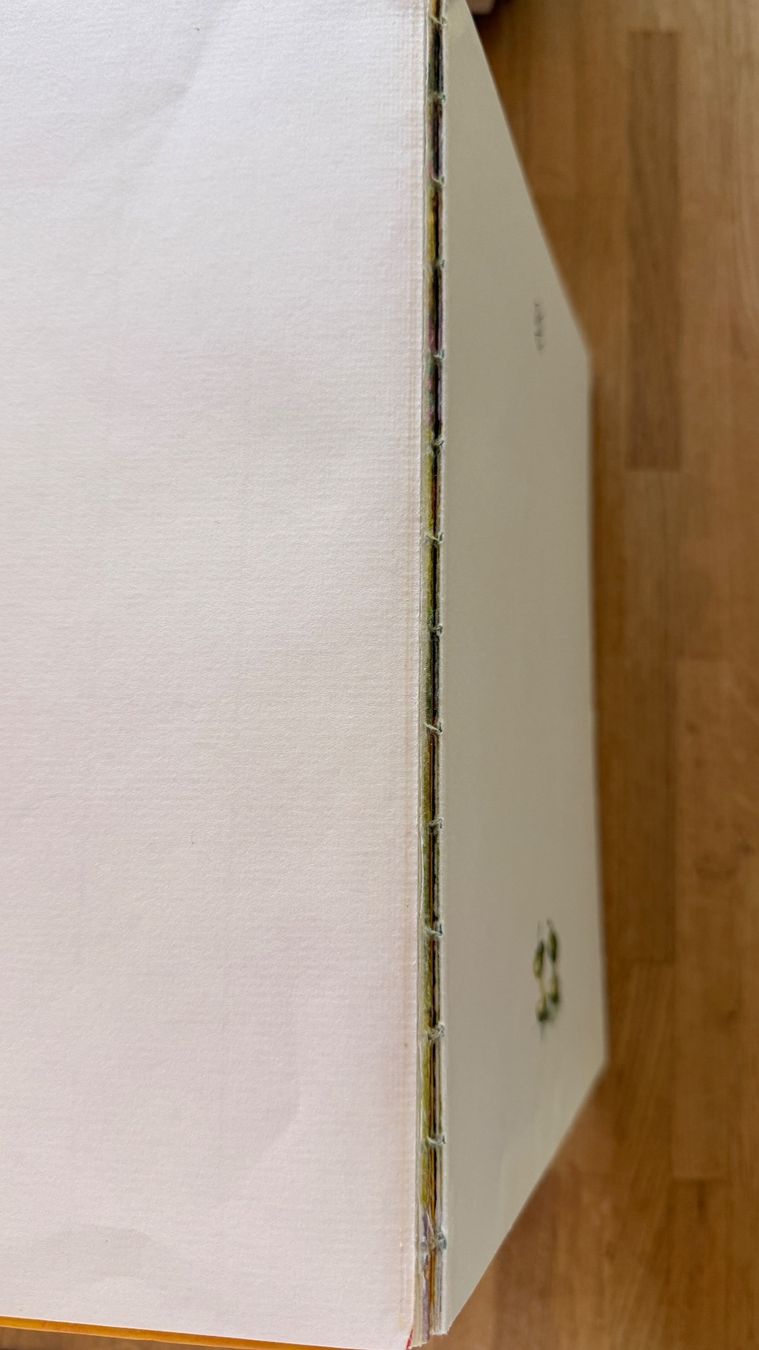 Libri: Buch - Dudu findet einen Freund – Usato da Winterthur venduto da Secondhand-Family 3