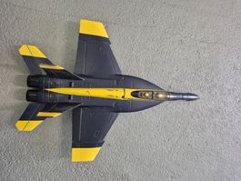 Jet-Modellflugzeug F/A 18