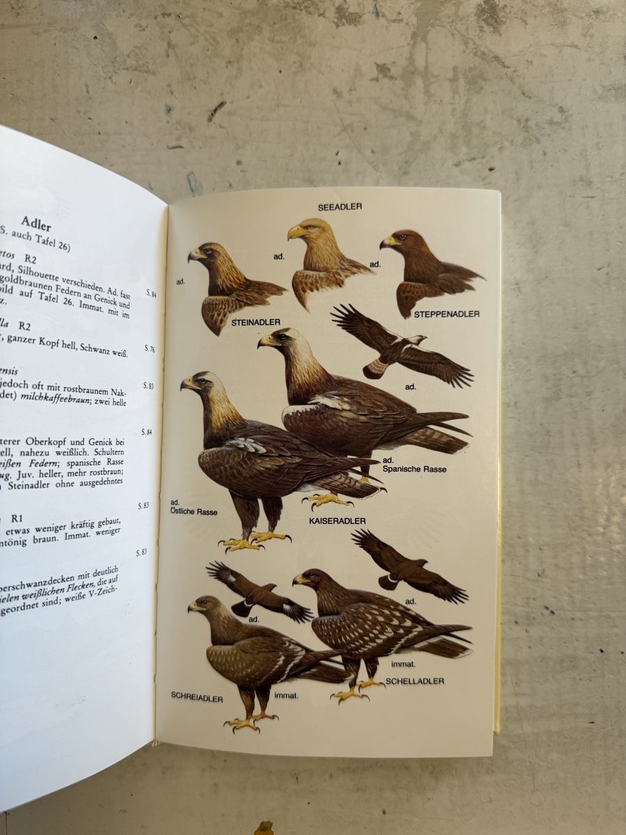 Libri: Die Vögel Europas – Usato da Dietikon venduto da Buchantiqdietikon 3