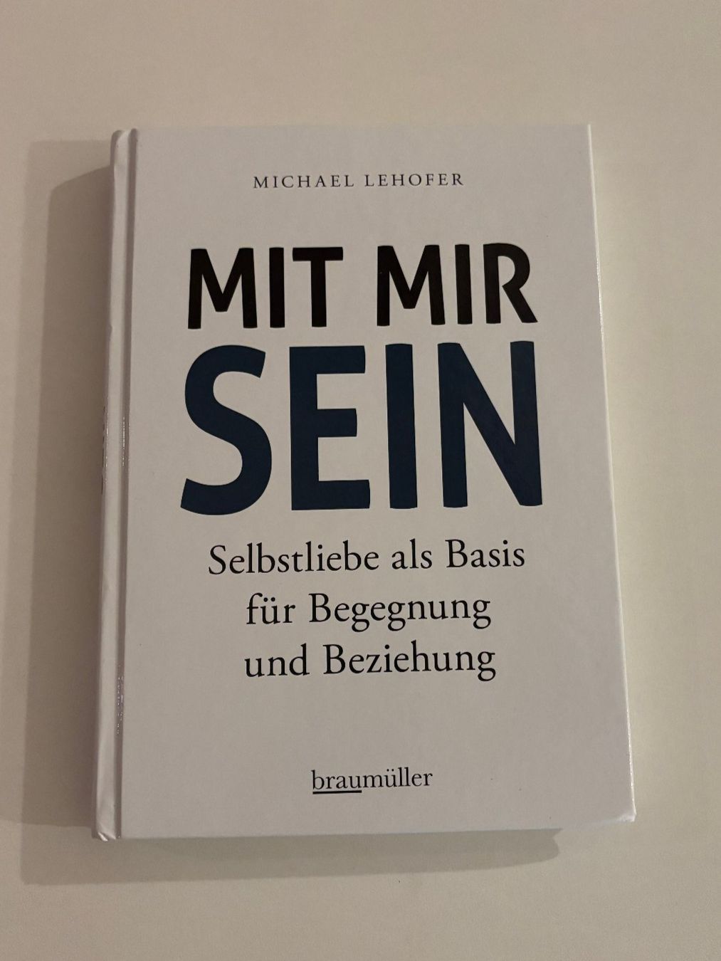 Bücher: Buch: Mit mir sein - Michael Lehofer – Gebraucht aus Winterthur von 1doodle2