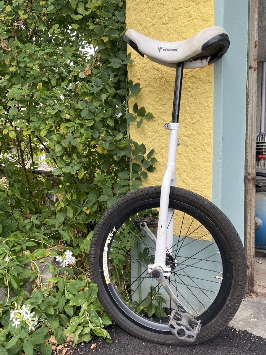 Velos: Einrad Shining A-320 guter Zustand – Gebraucht aus Bern von moiramoira
