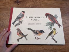 Einheimische Vögel Buch Band 1 Illustrationen Pia Roshardt T