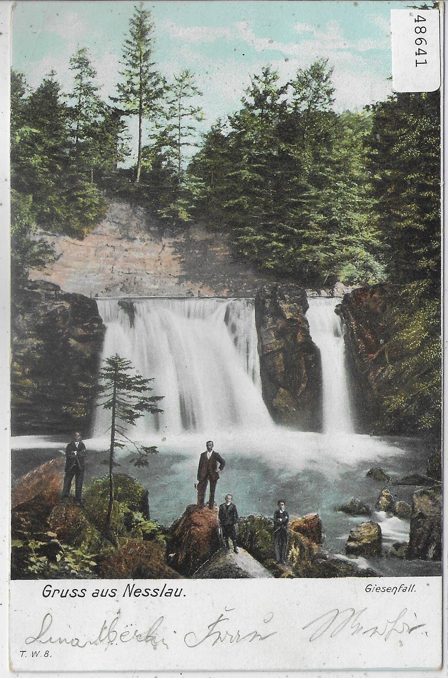 Cartoline postali: Gruss aus Nesslau - Giesenfall - animee – Usato da Ettingen venduto da Kartenplanet