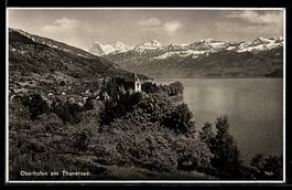 AK Oberhofen am Thunersee, Panorama