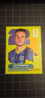 Panini FIFA WM 2026 BIH 20