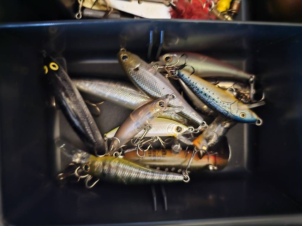 Esche: Angler zubehör  – Usato da Aegerten venduto da Bergbruenneli
