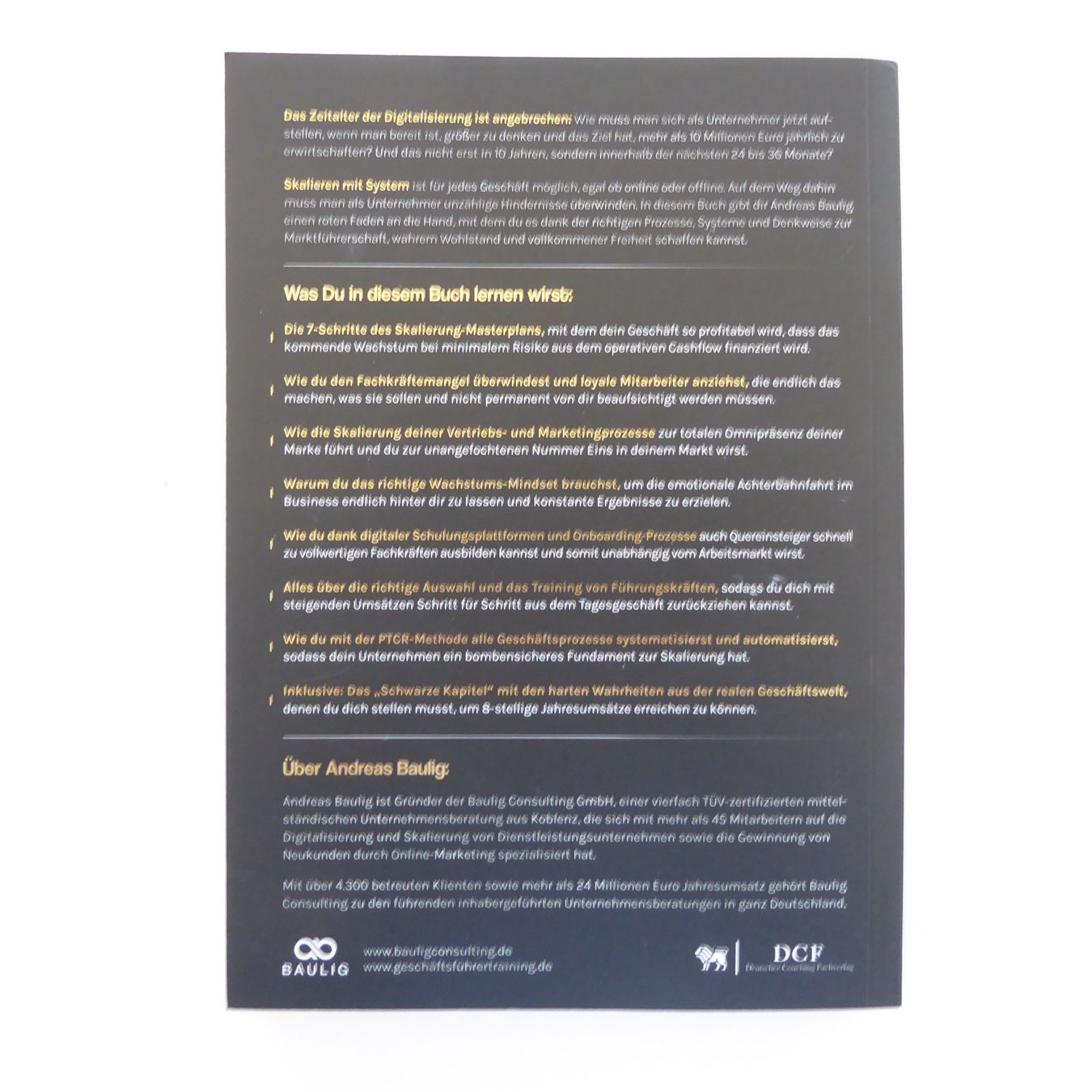 Libri: Skalieren mit System - Andreas Baulig – Usato da Basel venduto da Kunterbunt12 1