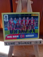 Sticker FIFA Panini Norway équipe nationale NOR 13