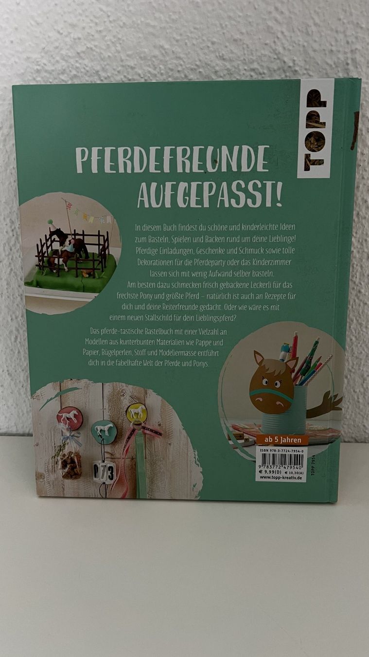 Livres: Bastelbuch – D'occasion à Hondrich par Greppen37 1