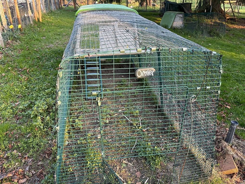 Gabbie, trasporto & Sicurezza: Poulailler Eglu d'Omlet – Usato da Le Locle venduto da Clodile 2