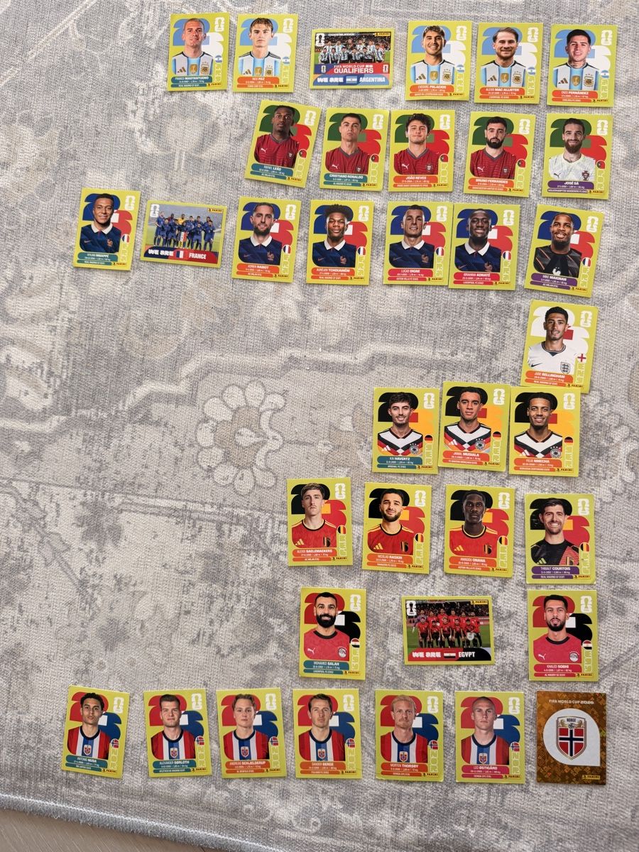 Panini Carte collezionabili: Panini 2026 – Usato da Bülach venduto da nme_j699