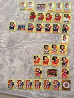 Panini 2026