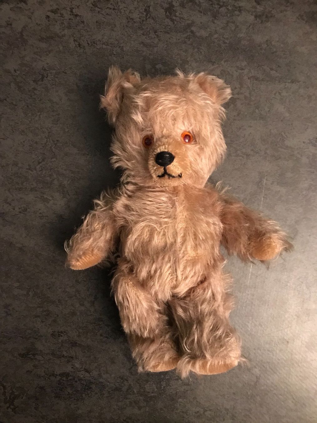Welt der Tiere: Teddybär, original 50-er Jahre – Gebraucht aus Zürich von VictoriaV01