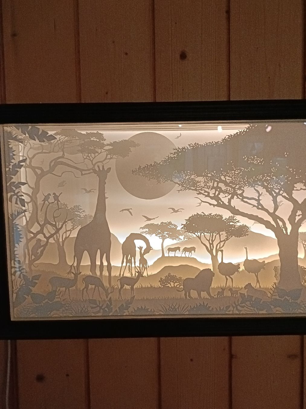 Poster & Bilder: Schattenbild beleuchtet Afrika Savanne Deko Bild LED – Neu und originalverpackt aus Langnau i.E von Arco2503 1