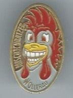 Mischtchratzer Wollerau, Fasnacht PIN