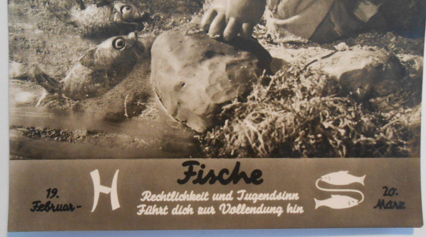 Cartoline postali: MECKI 503, Sternzeichen Fische – Usato da Bülach venduto da anska 1