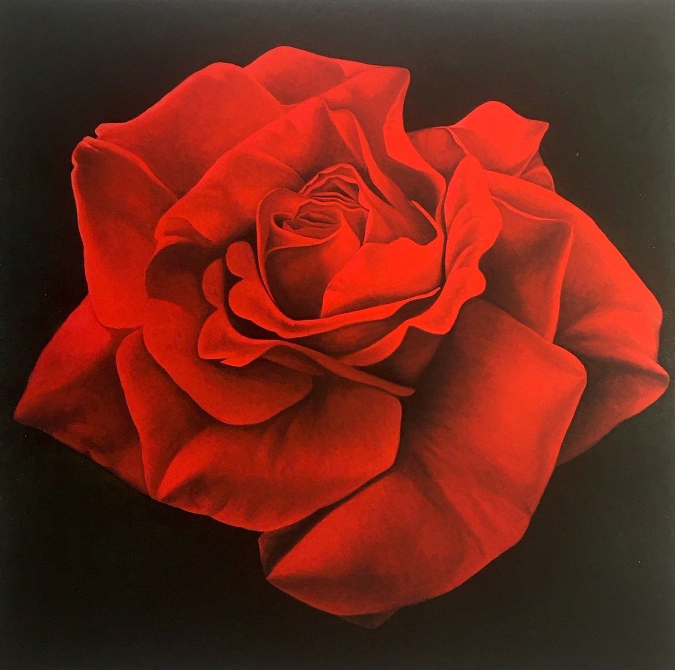 Grafica & Litografie: Franco Campana       4 KUNSTDRUCKE   "Rosen" – Usato da Nennigkofen venduto da Schamane75