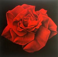 Franco Campana       4 KUNSTDRUCKE   "Rosen"