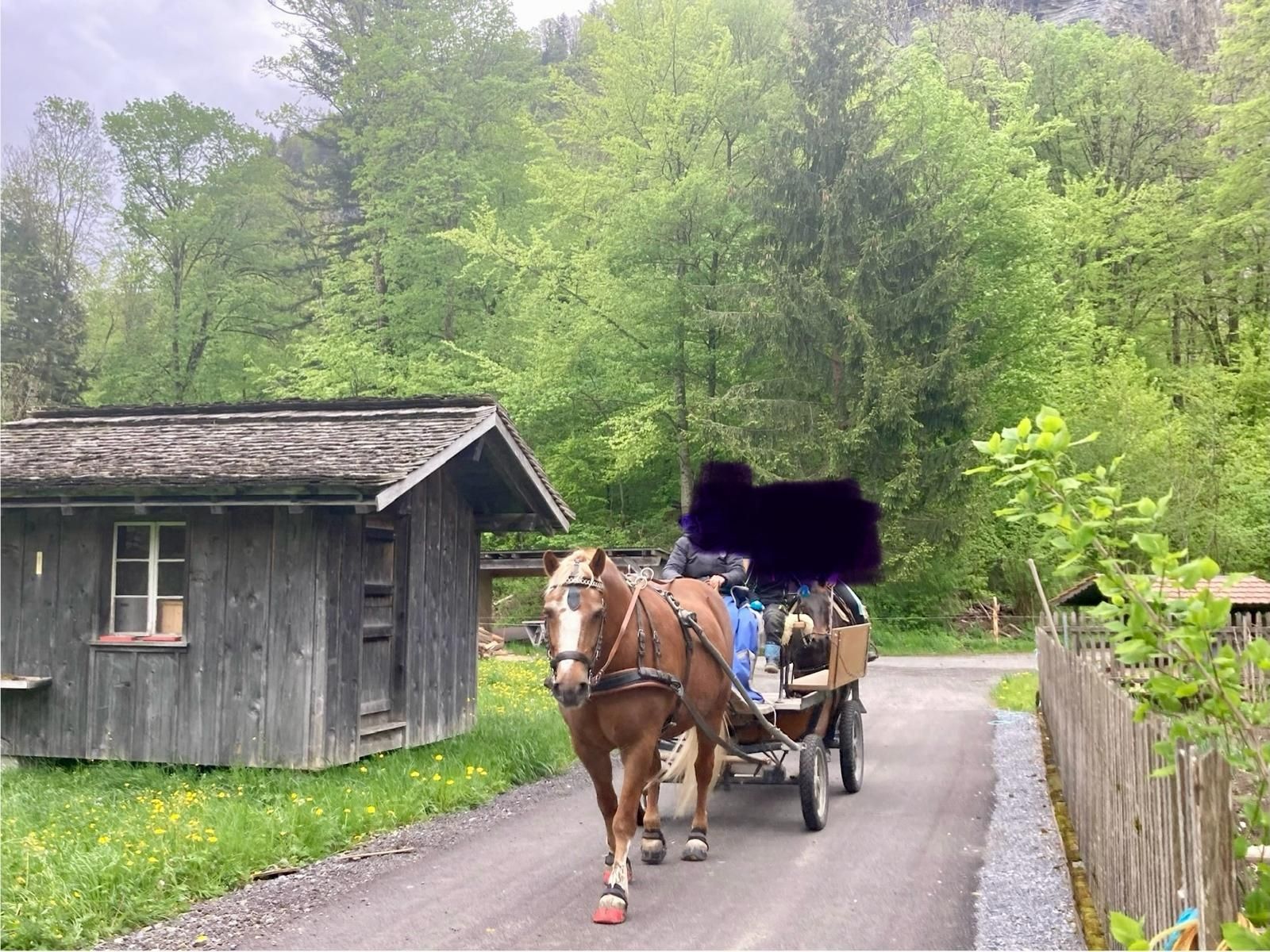 Calèches: Kutsche – D'occasion à Niederried Interl par LoicPourrat 1