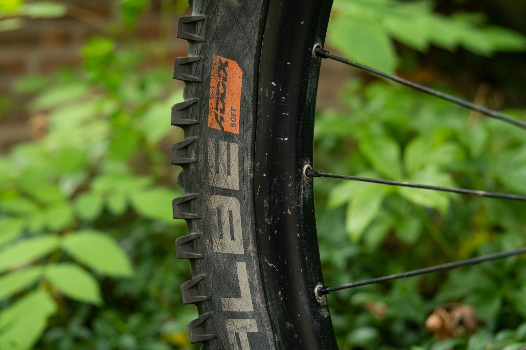 Propain Biciclette: Propain Tyee AL 2022 – Usato da Bern venduto da maelabrs 6