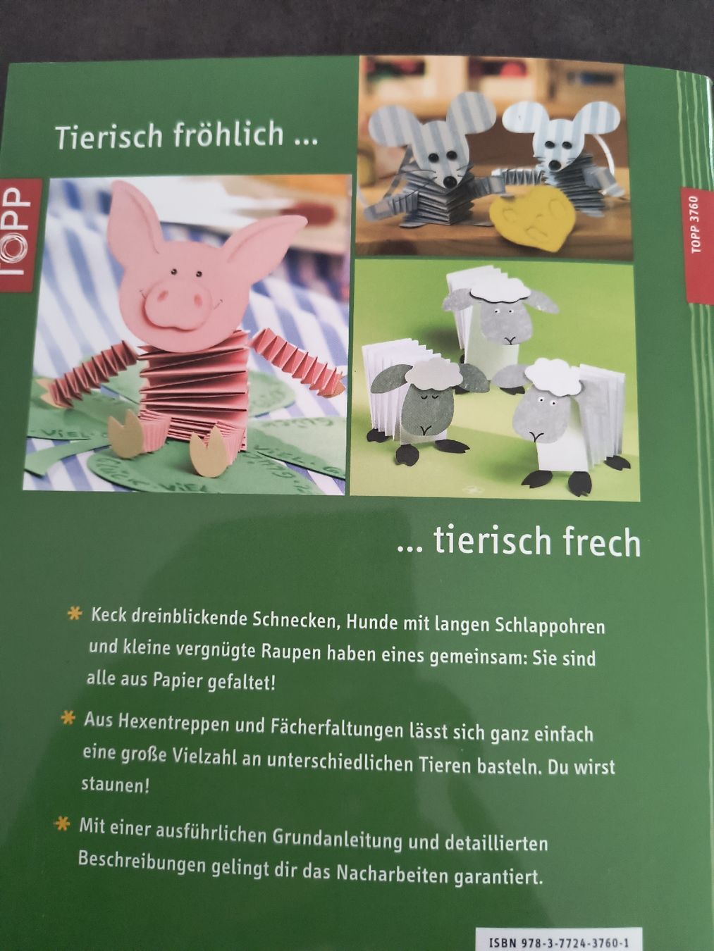 Bücher: Faltideen einfach tierisch Buch Basteln mit Papier  – Gebraucht aus Schöfflisdorf von KKB-Team1 4
