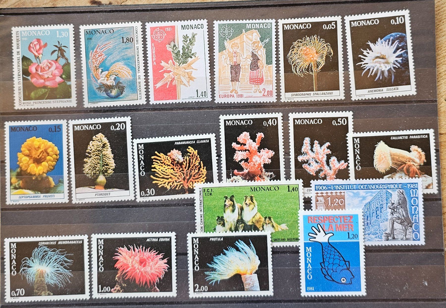 Tutti i francobolli: MONACO timbres neufs ** 1981 – Nuovo (secondo la descrizione) da Les Valettes venduto da Nuba1