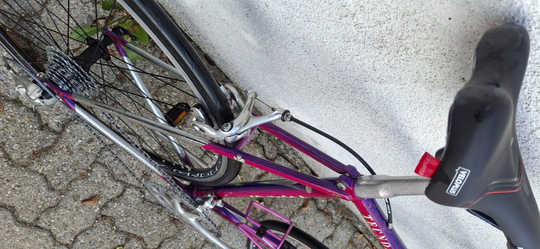 Colnago Vélos: Rennvelo COLNAGO – D'occasion à Kyburg par JBMNT2020 2