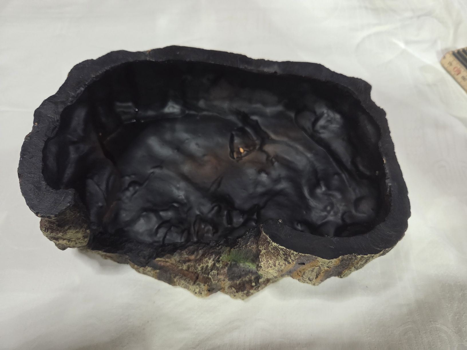 Tutte le decorazioni:  grotte pour reptile – Usato da Neuchâtel venduto da pasprie 3