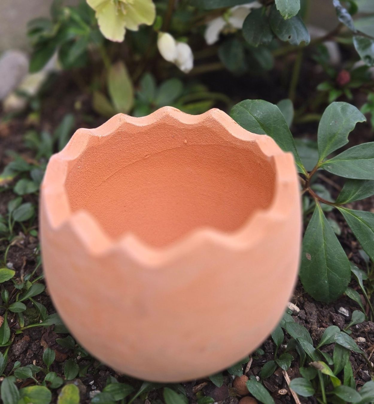 Vasi per fiori: Osterdeko Übertopf Ei aus Ton – Nuovo (secondo la descrizione) da Rheinsulz venduto da Dred 3