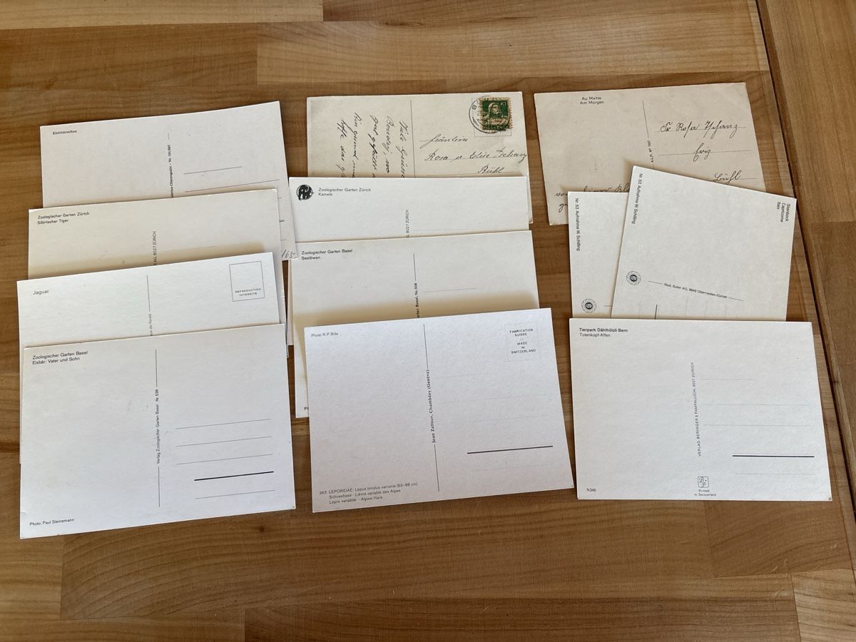 Cartoline postali: AK mit Tiere Motiv – Usato da Rümlang venduto da Kartenpost1 1