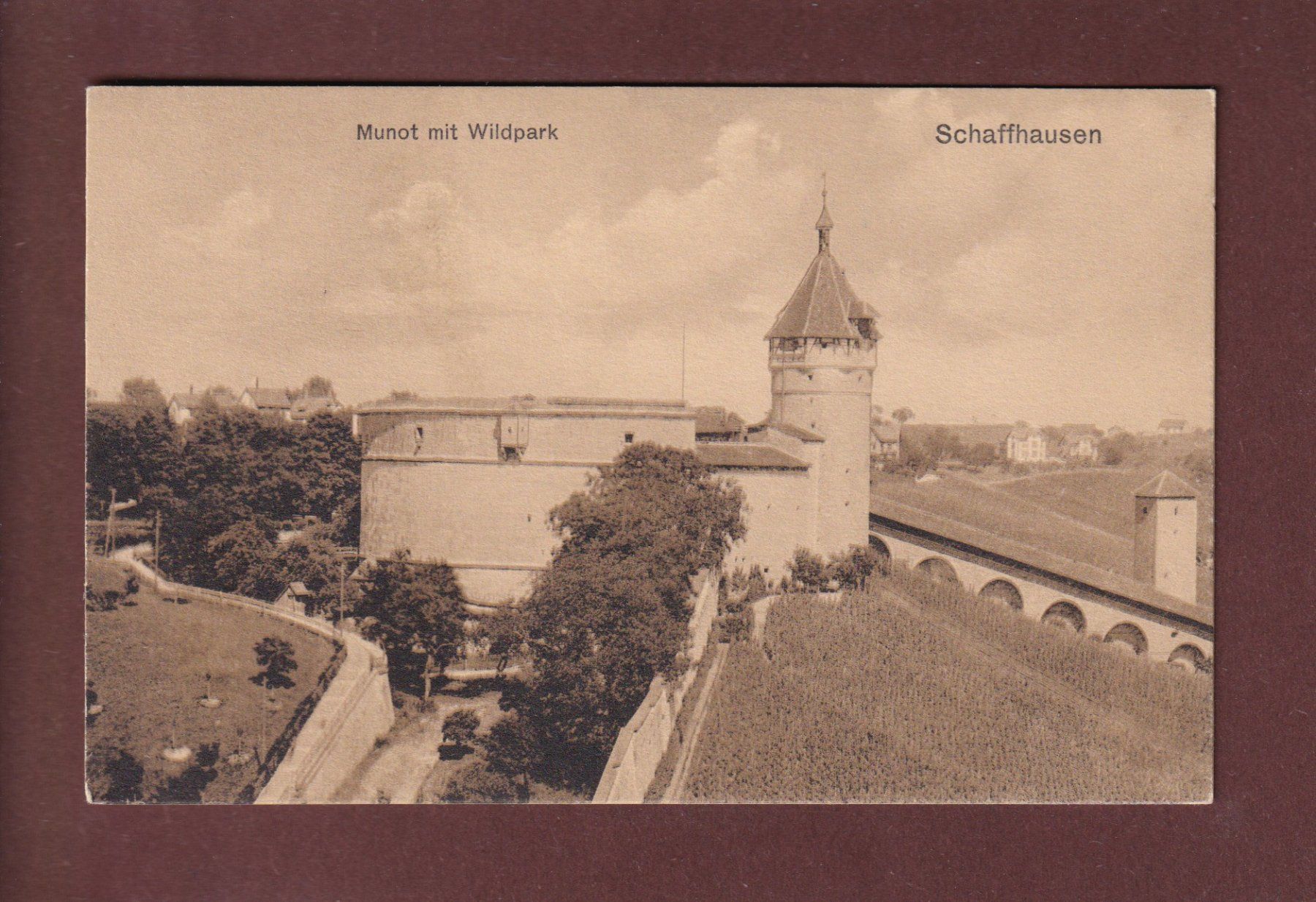 Cartoline postali: SCHAFFHAUSEN - Munot mit Wildpark – Usato da Pully venduto da nicecards