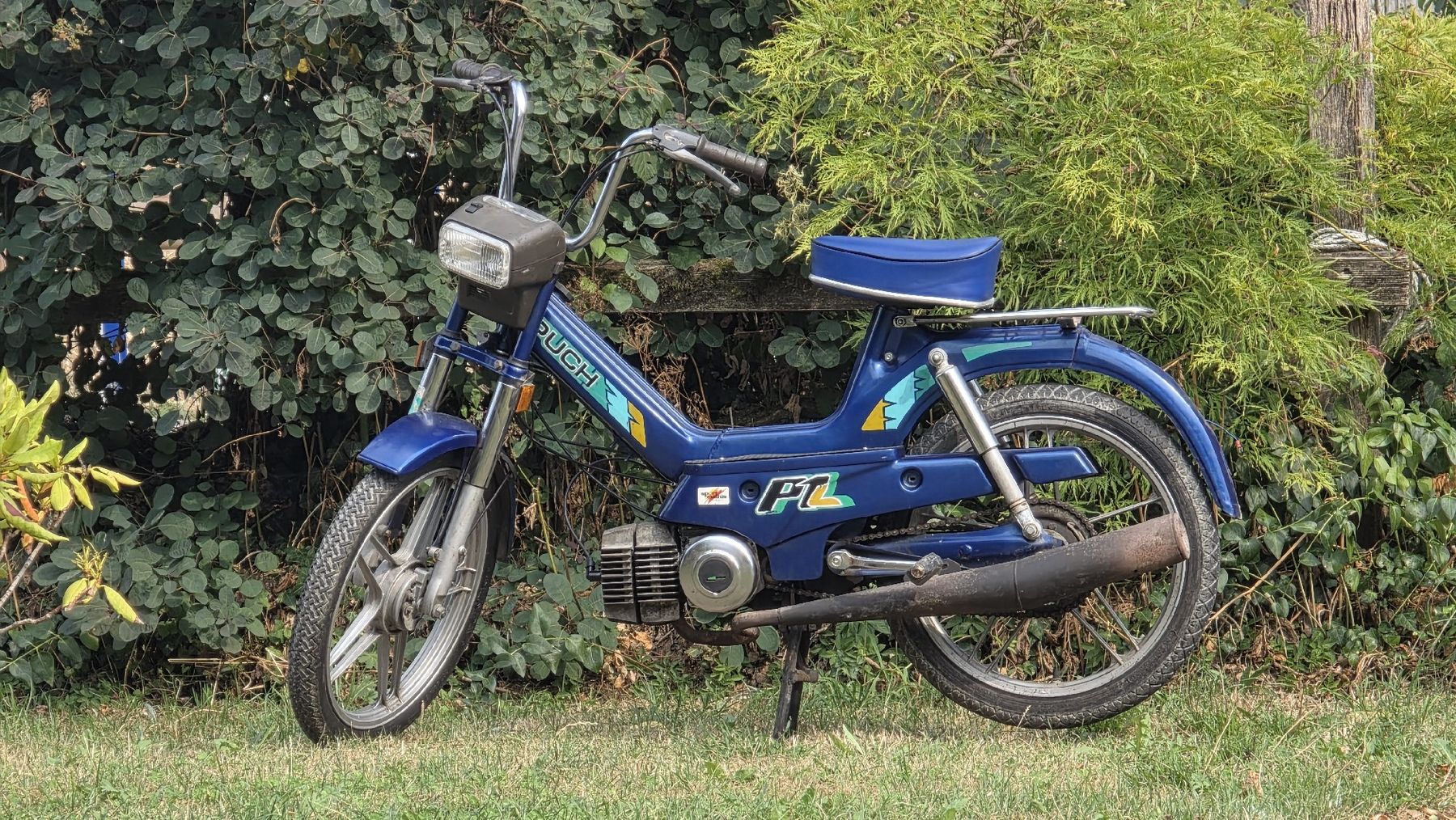 Puch Mofas: Puch Supermaxi P1 mit Ausweis, Motor läuft – Gebraucht aus Hofstetten ZH von Nego