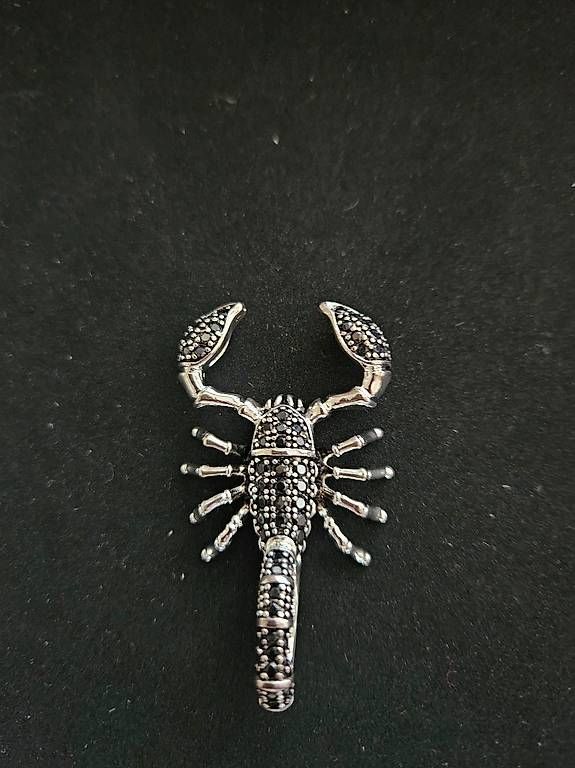 Anhänger: Anhänger Skorpion Silber – Gebraucht aus Meggen von schurli007 1