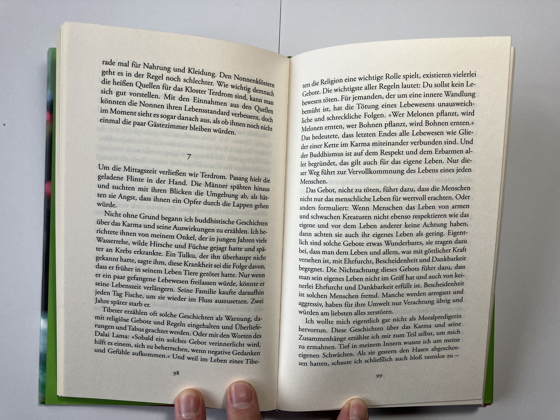 Bücher: Flügelschlag des Schmetterlings – Gebraucht aus Oberegg von Najen751 2